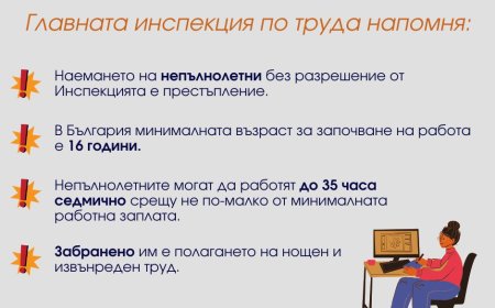 Главна инспекция по труда напомня за специалната закрила на младежите на работното място
