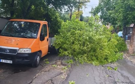 Щети по три автомобила има от разразилата се буря в Добрич