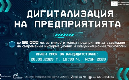 Остава един месец до крайния срок за кандидатстване по „Дигитализация на предприятията“