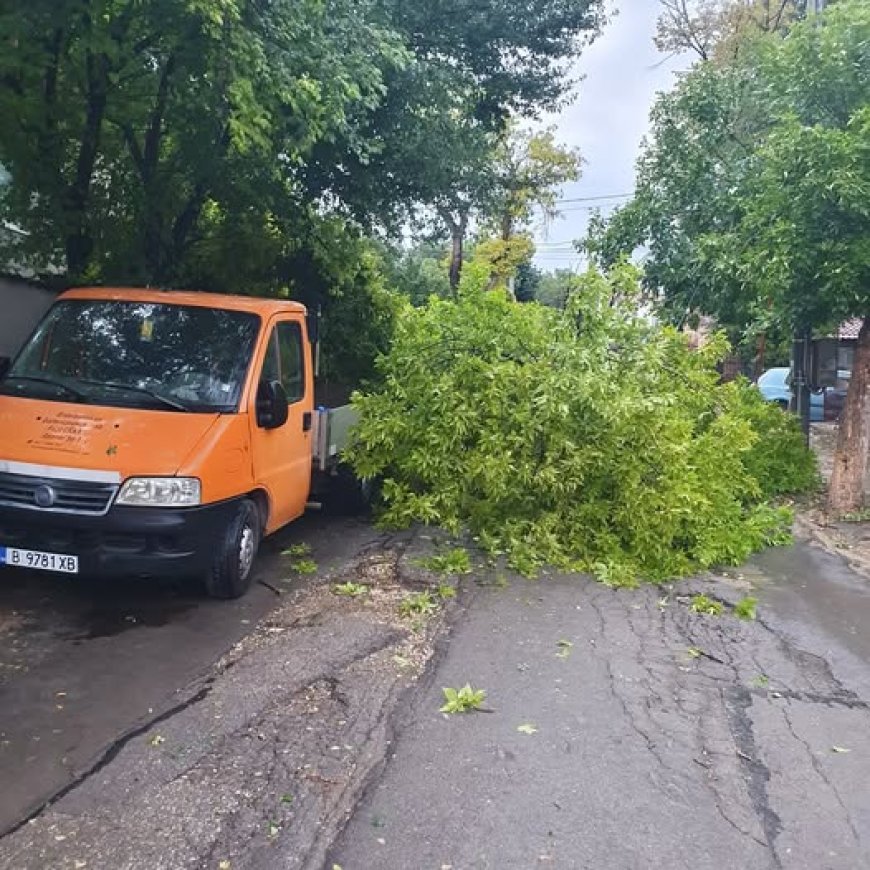 Щети по три автомобила има от разразилата се буря в Добрич
