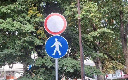 В Добрич започва поставяне на знаци, които забраняват движението на тротинетки