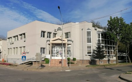 Районният съд в Генерал Тошево задържа под стража двама пакистанци