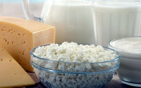 От 1 октомври организации на производители в сектор „Мляко и млечни продукти“ могат да кандидатстват за финансиране на нови оперативни програми