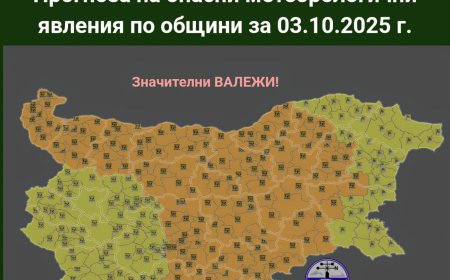 За внимание заради силния вятър призовават от Община Добрич