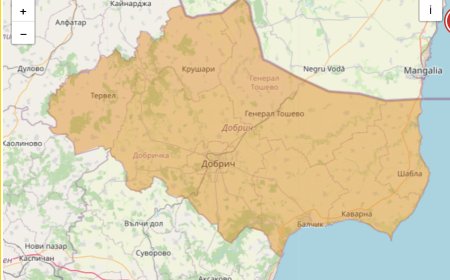 Код червено: BG ALERT се активира с преупреждение за обилни валежи в област Добрич