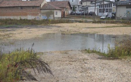 Времето в Добрич остава нестабилно и през следващите 24 часа