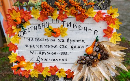 Фестивал на тиквата се проведе в с. Дуранкулак