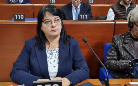 49-та Пленарна сесия на Конгреса на местните и регионалните власти на Съвета на Европа