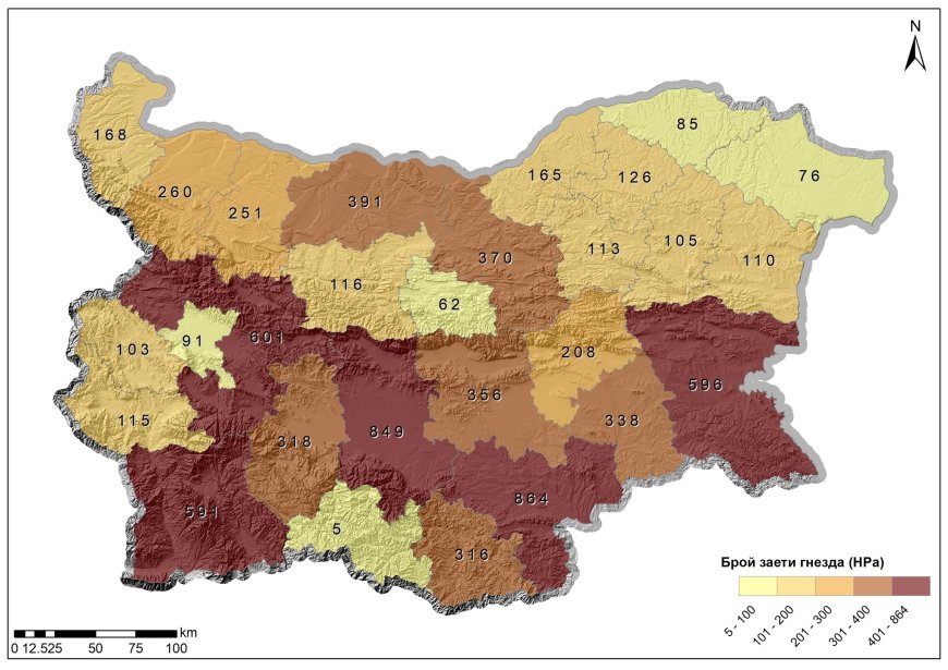 С 33% се е увеличила гнездящата популация на белия щъркел у нас през последните 10 години