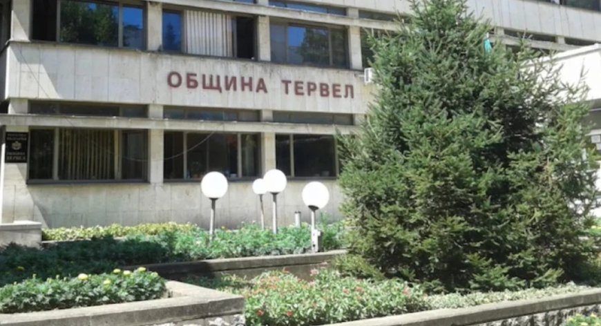 Двама от стипендиантската програма на Тервел започнаха работа