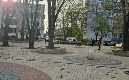 Коледният базар и елхата в Добрич - с нова локация