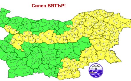 Жълтият код за силен вятър в Добрич остава и днес - 21 ноември