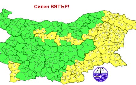 Жълт код за силен вятър е обявен за област Добрич днес