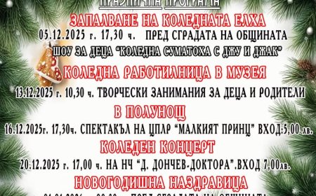 В Тервел палят светлините на коледната елха на 5 декември