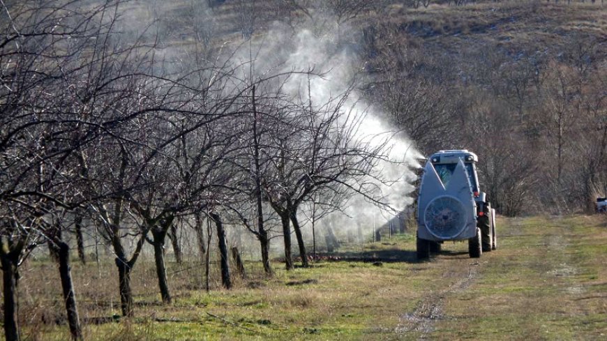От днес овощарите могат да заявяват помощ за зимни пръскания