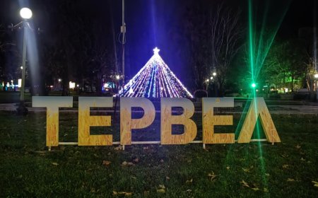 Тервел грейна в Коледна премяна