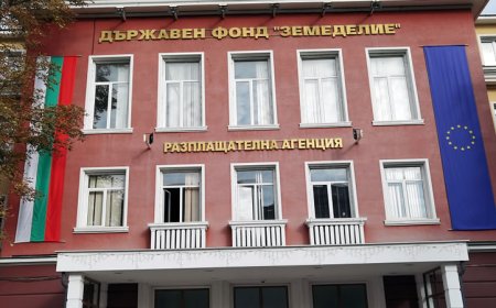 ДФЗ изплати близо 600 млн. лева по базовото плащане на площ за Кампания 2025