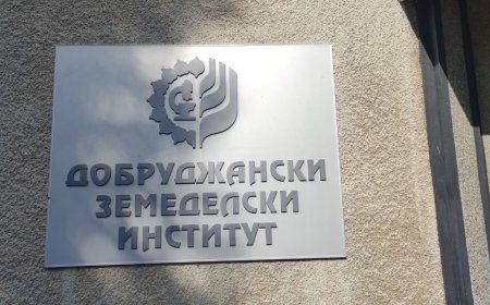 Добруджанският земеделски институт стана обект на кражба