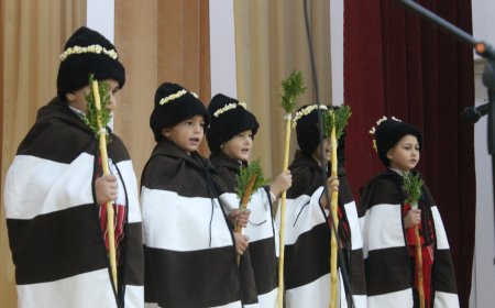 Коледарски наричания изпълниха залата на читалището в Крушари