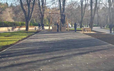 Нова детска площадка с въжен тролей в градския парк в Добрич