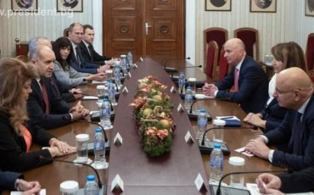 Президентът Румен Радев обсъди с ръководството на Асоциацията на банките в България готовността  за въвеждане на еврото