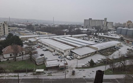 Макар и плахо и в Добрич заваля първият сняг