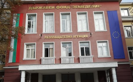 От 1 до 12 януари 2026 г. ще бъдат обновени информационните системи СЕУ и ИСАК