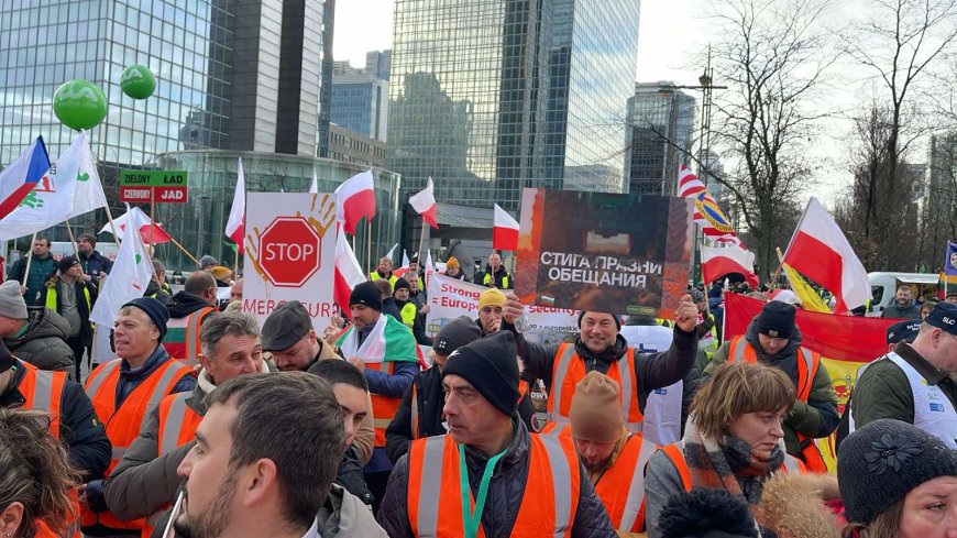 Хиляди земеделци излязоха на протест в Брюксел