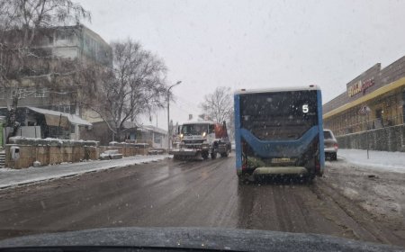 Основните пътни артерии и трасетата на градския транспорт в Добрич са обработени