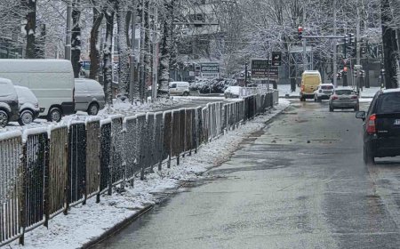 Община Добрич: Основните улици и пътища са почистени