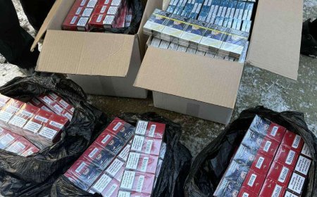 880  кутии  цигари без бандерол откриха при проверка  в Добрич