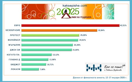 Как се пише?: „Евро“, „безобразие“ и „протест“ са думите на 2025-а