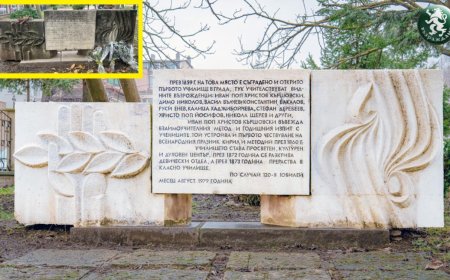 Паметната плоча на първото училище в Добрич е почистена