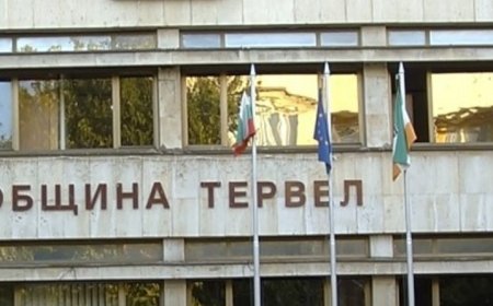 Тервел празнува 66 години от обявяването му за  град