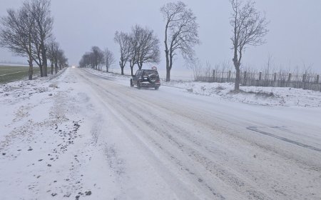 Проходими при зимни условия са пътищата в Добричка област