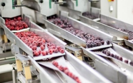 Стартира приемът за инвестиции в преработка на селскостопански продукти, насочени към опазване компонентите на околната среда