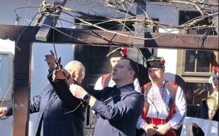 С музика и руйно вино празнуваха Трифон Зарезан в Добрич