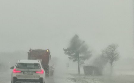 Актуална пътна обстановка в Добричко към 9.30 часа