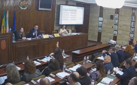 Общинските съветници отмениха свое решение за промяна на статута на парцел в централната част на Добрич