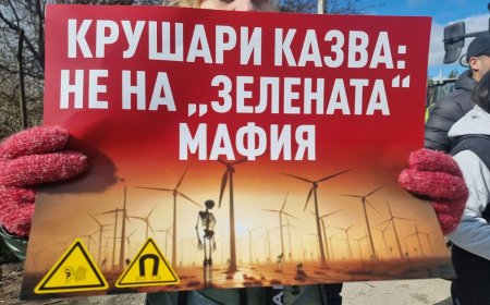 Общинският съвет на Крушари отмени свои решения от 2022 година, свързани с изграждането на ВЕИ парк