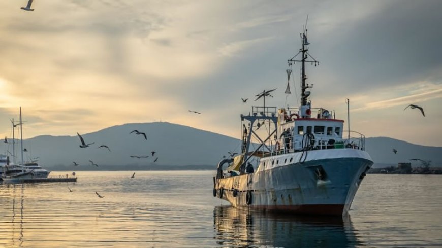 6,8 млн. евро са преведени  по Програма за морско дело, рибарство и аквакултури