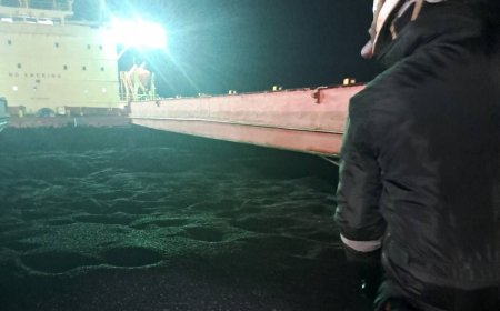 Откриха наличие на активните вещества пиримифос-метил, делтаметрин и малатион във втори кораб с аржентински слънчогледна пристанище Варна