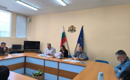 Общините Добрика и Генерал Тошево искат пари за ремонт и преместване на военни пометници