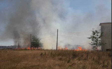 От днес е в сила заповед на областния управител за обявяване на пожароопасен сезон’2026