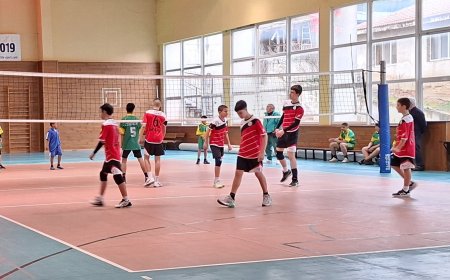 Завършиха областните първенства по волейбол и баскетбол от Ученическите игри