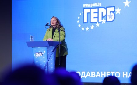 Деница Сачева: Борим се България да бъде държава с устойчив растеж, а не държава в непрекъснат рестарт
