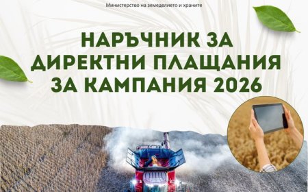 МЗХ публикува Наръчника за директни плащания за Кампания 2026