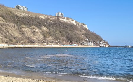Няма замърсяване на морето, което да е причина за масова смъртност на защитени видове край Шабла