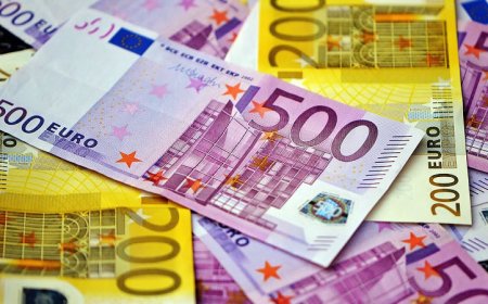ДФ „Земеделие“ преведе още над 2 млн. евро по агроекологичните и биологичните интервенции за Кампания 2025