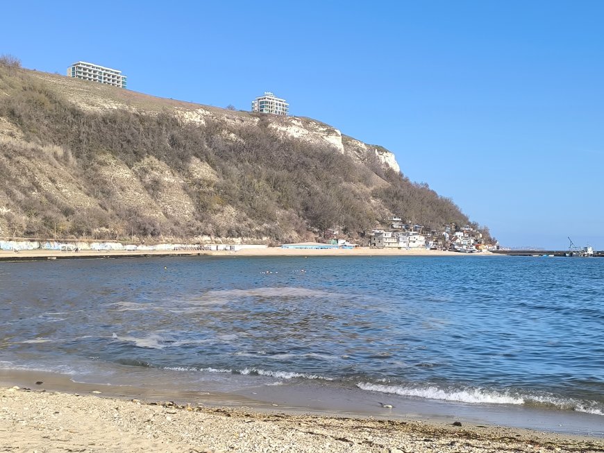Няма замърсяване на морето, което да е причина за масова смъртност на защитени видове край Шабла